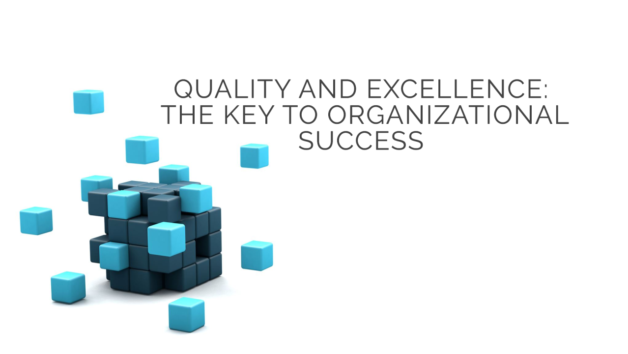 Quality Excellence Model